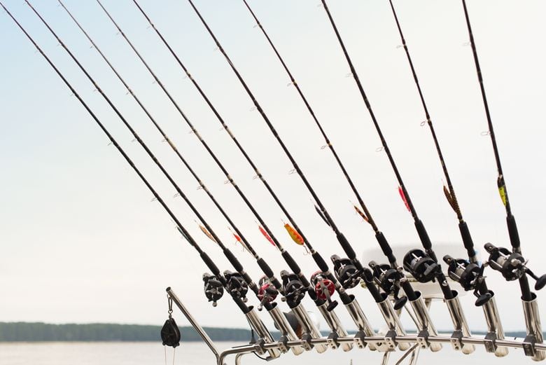 Things To Do Lil Darlin' Charters